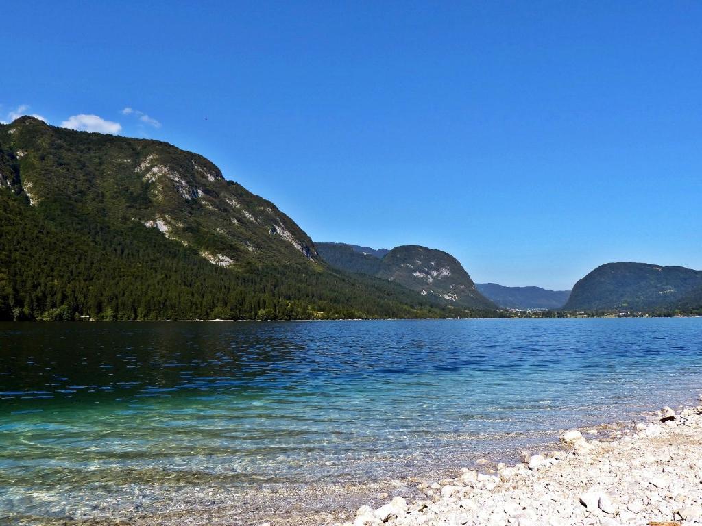Apartment Alenka Bohinj